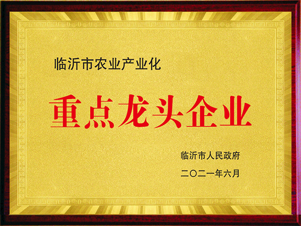榮譽(yù)資質(zhì)