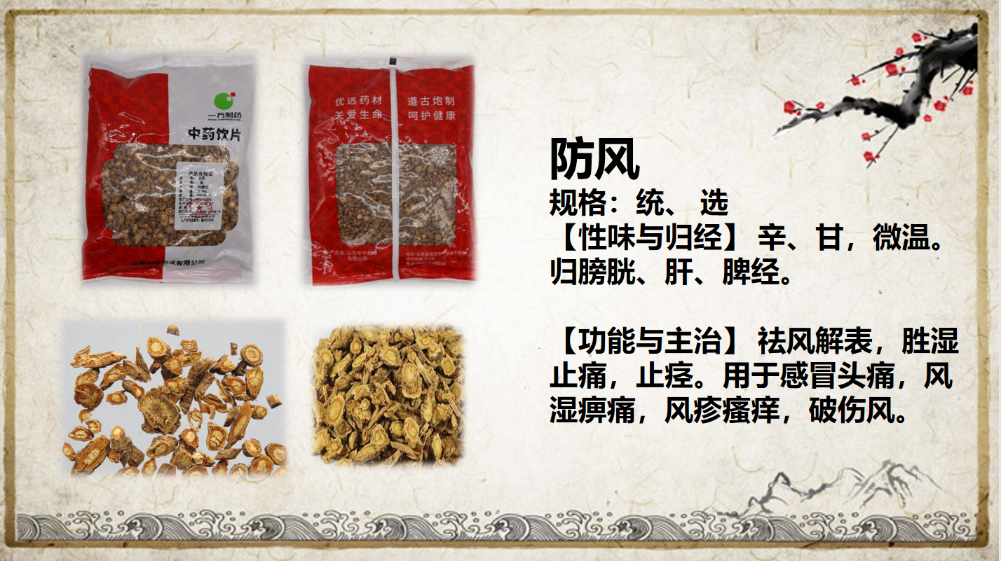 防風.png
