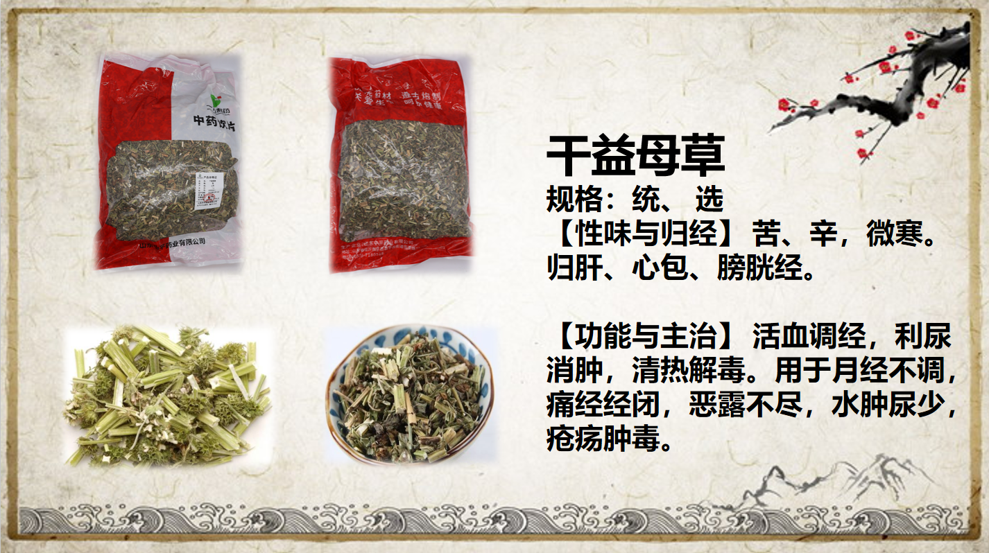 干益母草