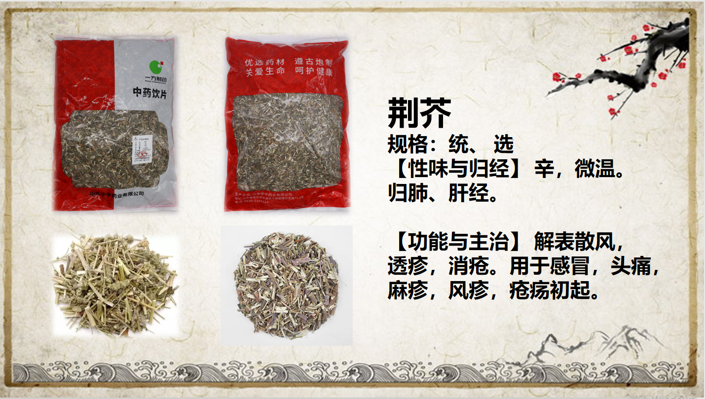 荊芥