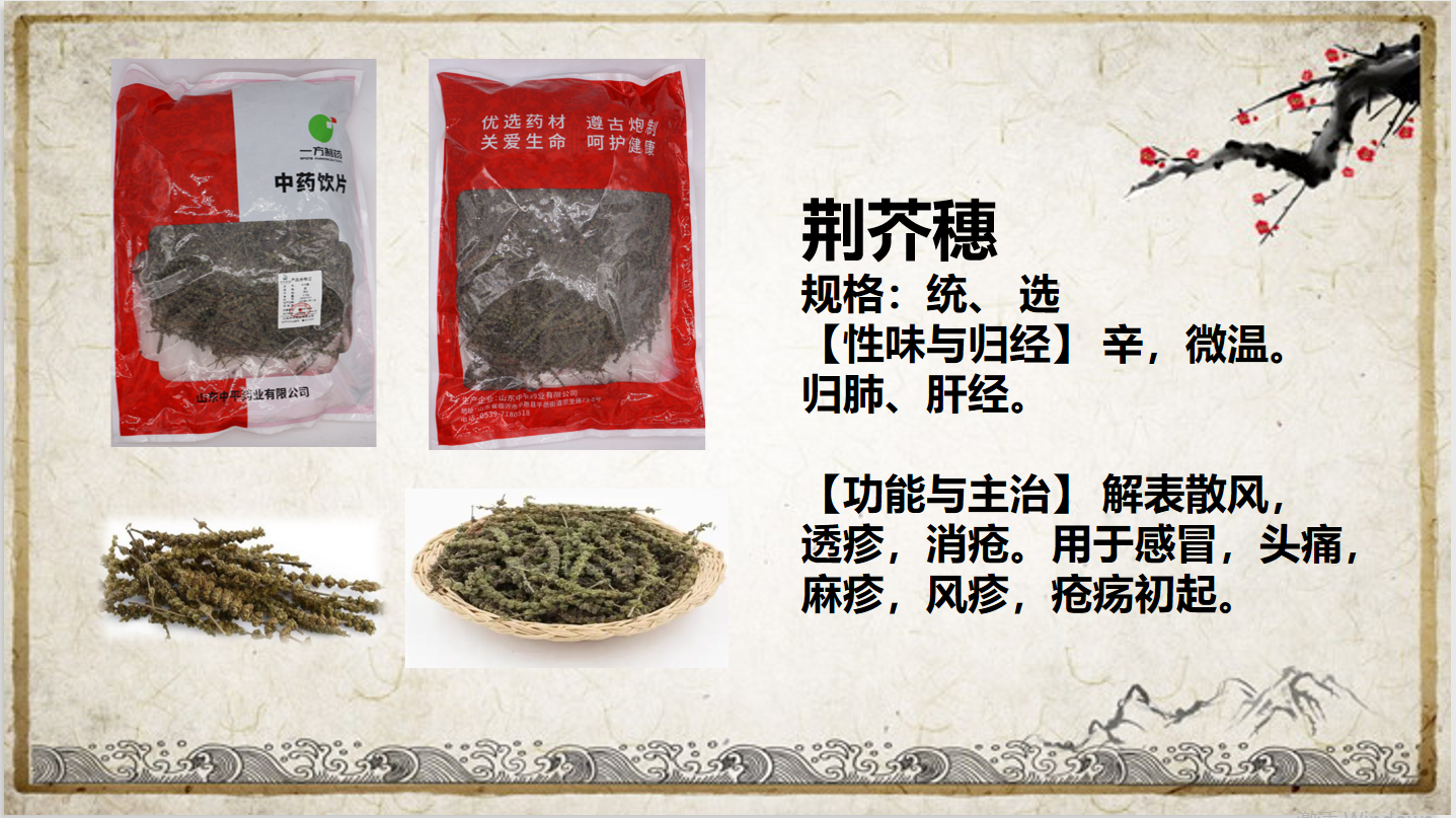 荊芥穗