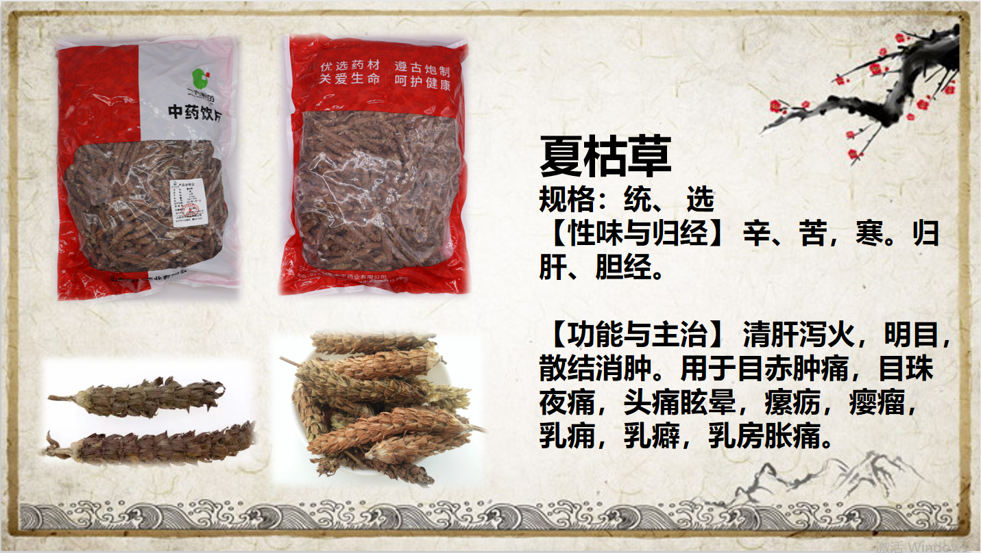 夏枯草