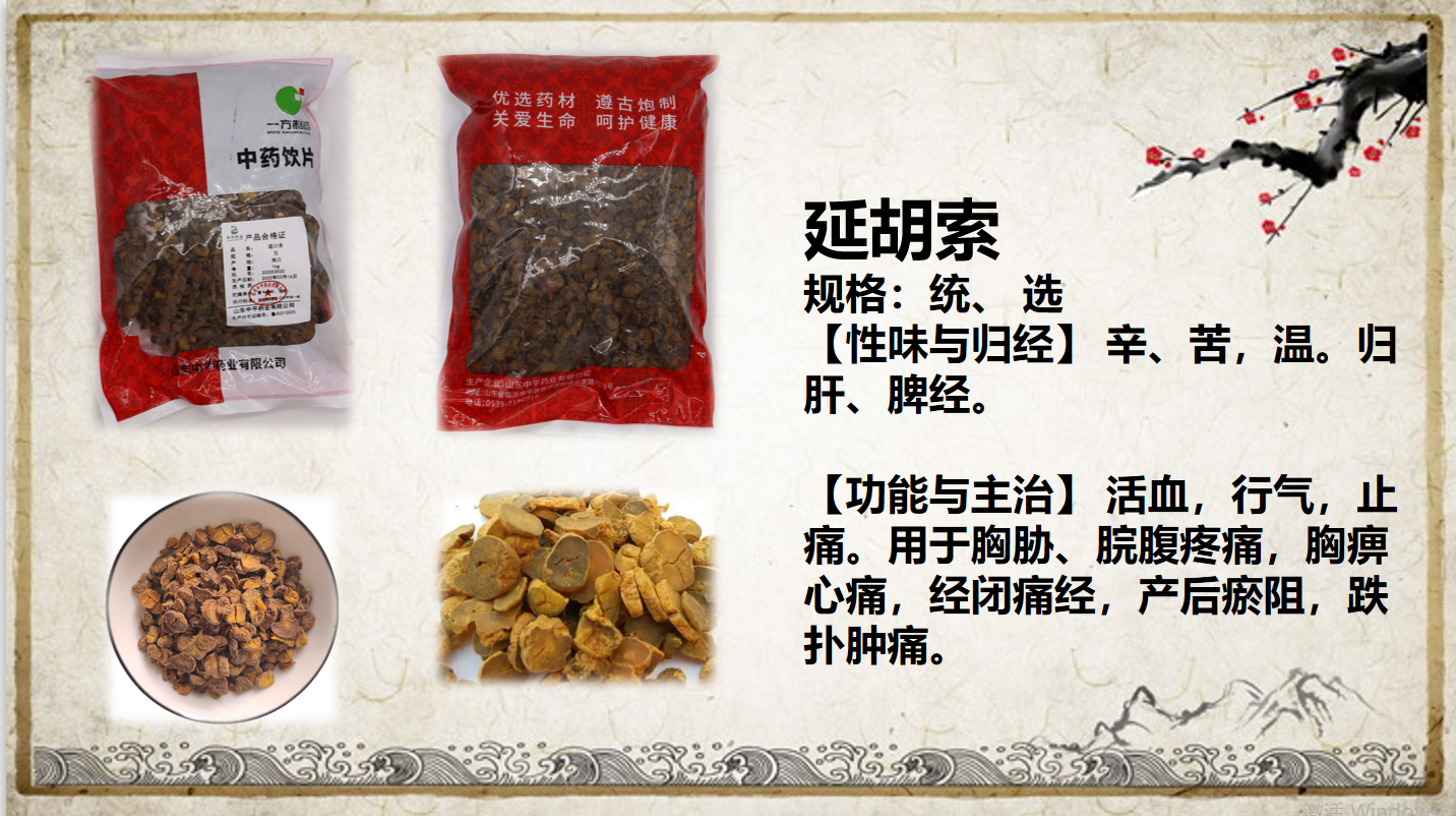 延胡索