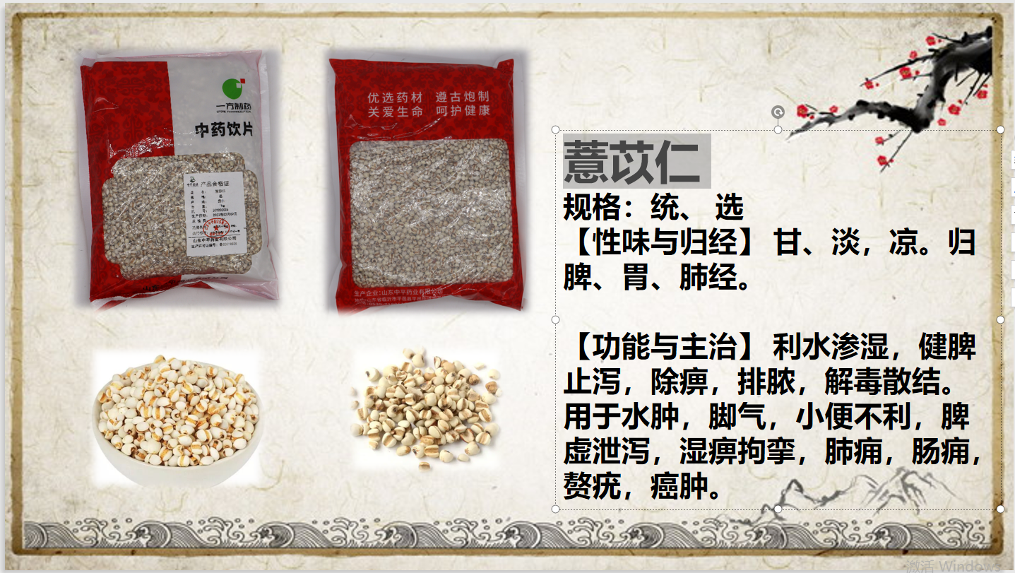 薏苡仁