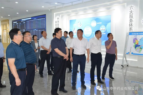 臨沂市委常委、副市長雋新陽一行來我司調研中醫藥產業發展工作