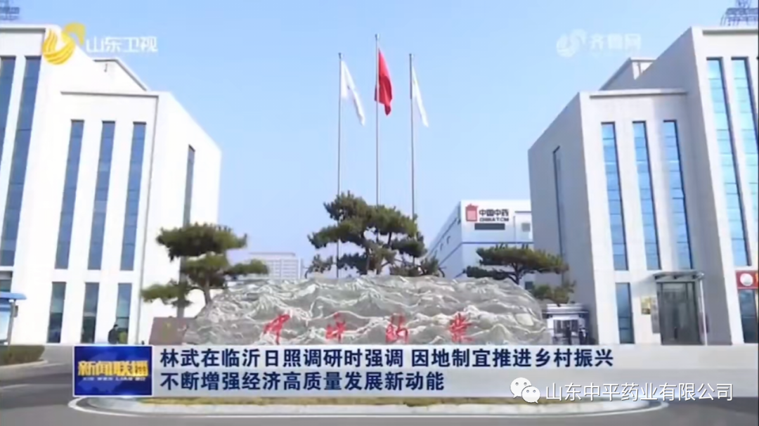 山東省委書記林武蒞臨中藥控股山東中平藥業調研